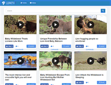 Tablet Screenshot of liontv.net